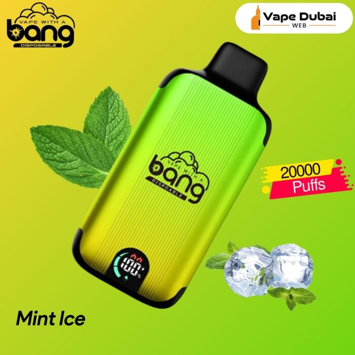 Bang Disposable Vape Mint Ice 20000 Puffs